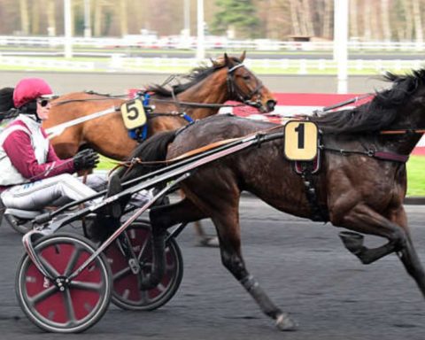 Quinté du dimanche 22 février 2026 à Vincennes: les pronostics
