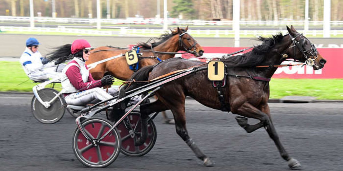 Quinté du dimanche 22 février 2026 à Vincennes: les pronostics