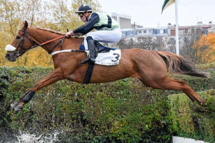 Quinté du lundi 23 février 2026 à Auteuil: les pronostics