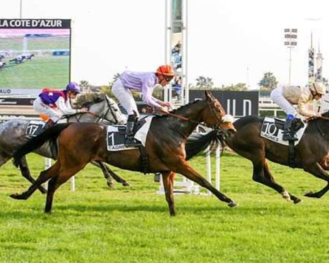 Quinté du mardi 24 février 2026 à Cagnes: les pronostics