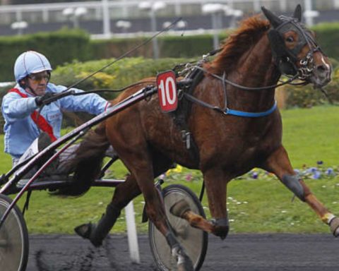 Quinté du mercredi 25 février 2026 à Vincennes: les pronostics