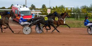 Quinté du jeudi 26 février 2026 à Cagnes: les pronostics