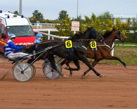 Quinté du jeudi 26 février 2026 à Cagnes: les pronostics