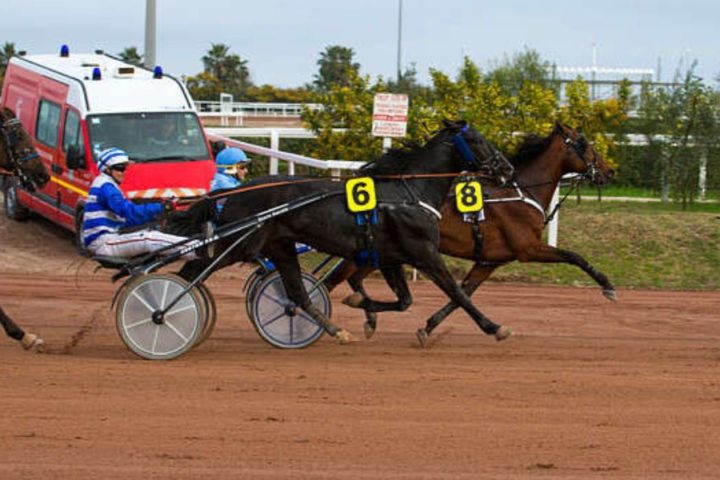 Quinté du jeudi 26 février 2026 à Cagnes: les pronostics