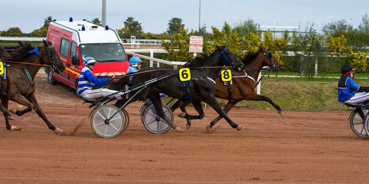 Quinté du jeudi 26 février 2026 à Cagnes: les pronostics