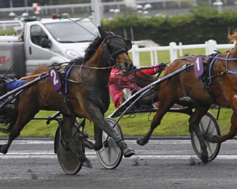 Quinté du vendredi 27 février 2026 à Vincennes: les pronostics