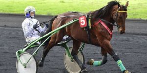 Quinté du samedi 28 février 2026 à Vincennes: les pronostics