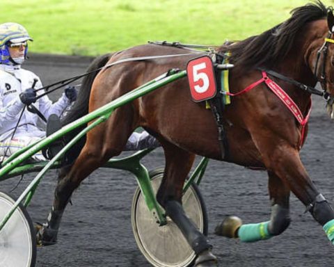 Quinté du samedi 28 février 2026 à Vincennes: les pronostics