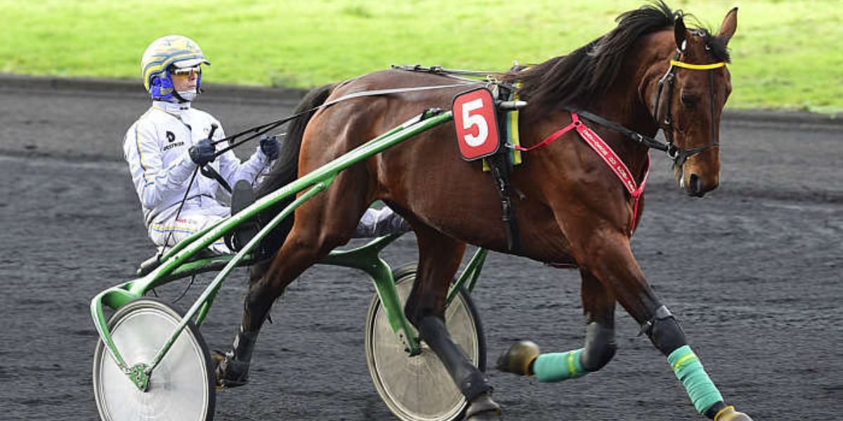 Quinté du samedi 28 février 2026 à Vincennes: les pronostics