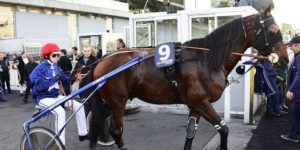 Quinté du mercredi 1er avril 2026 à Angers: les pronostics