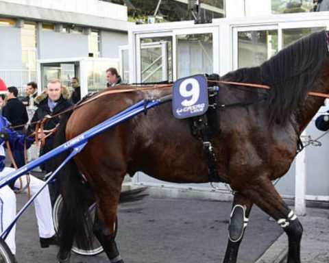 Quinté du mercredi 1er avril 2026 à Angers: les pronostics