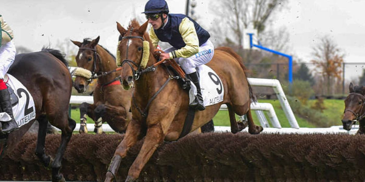 Quinté du jeudi 2 avril 2026 à Auteuil: les pronostics