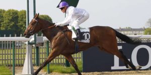Quinté du mardi 3 mars 2026 à Chantilly: les pronostics