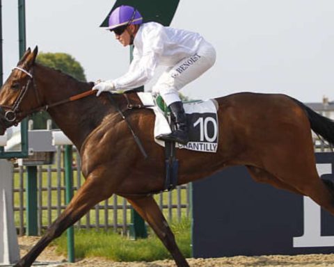 Quinté du mardi 3 mars 2026 à Chantilly: les pronostics