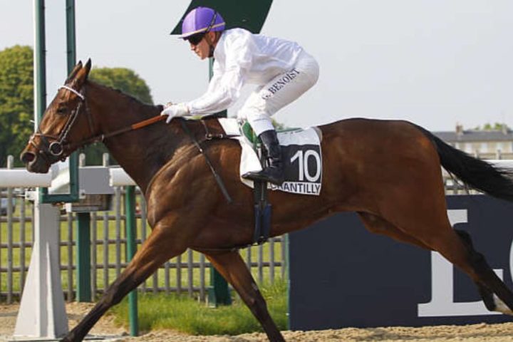 Quinté du mardi 3 mars 2026 à Chantilly: les pronostics