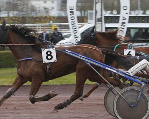 Quinté du mercredi 4 mars 2026 à Amiens: les pronostics