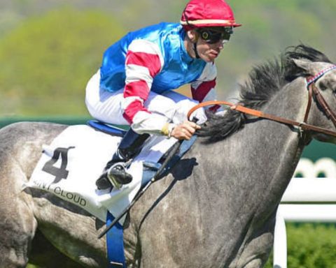 Quinté du jeudi 5 mars 2026 à Saint-Cloud: les pronostics