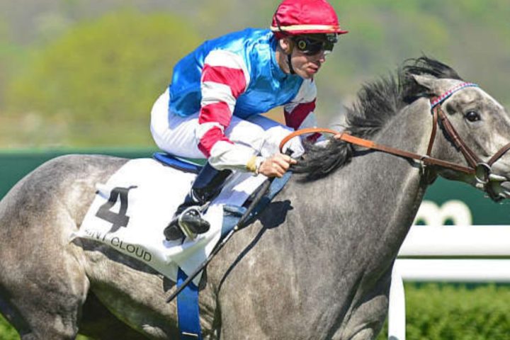 Quinté du jeudi 5 mars 2026 à Saint-Cloud: les pronostics