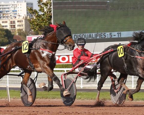 Quinté du vendredi 6 mars 2026 à Enghien: les pronostics