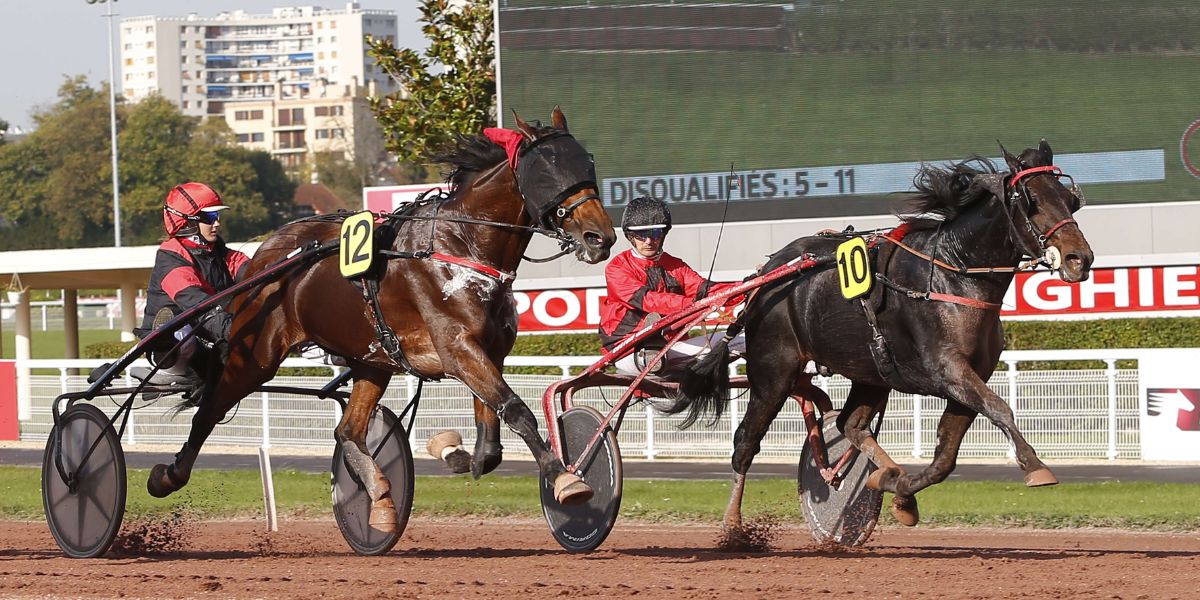 Quinté du vendredi 6 mars 2026 à Enghien: les pronostics