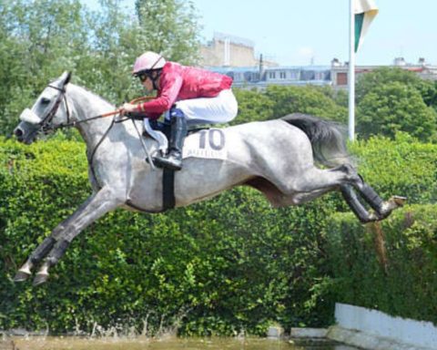 Quinté du samedi 7 mars 2026 à Auteuil: les pronostics