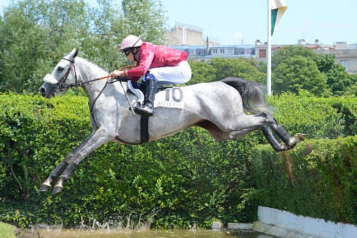 Quinté du samedi 7 mars 2026 à Auteuil: les pronostics