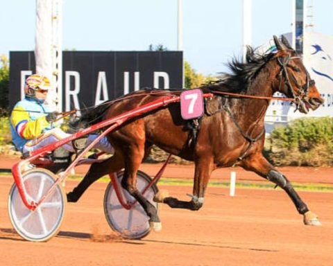 Quinté du dimanche 8 mars 2026 à Cagnes: les pronostics