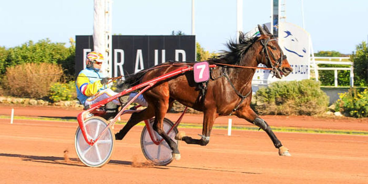 Quinté du dimanche 8 mars 2026 à Cagnes: les pronostics