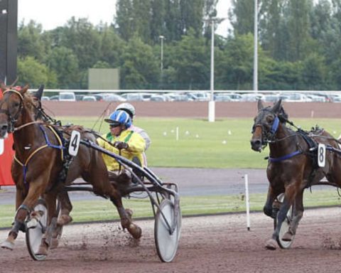 Quinté du lundi 9 mars 2026 à Caen: les pronostics