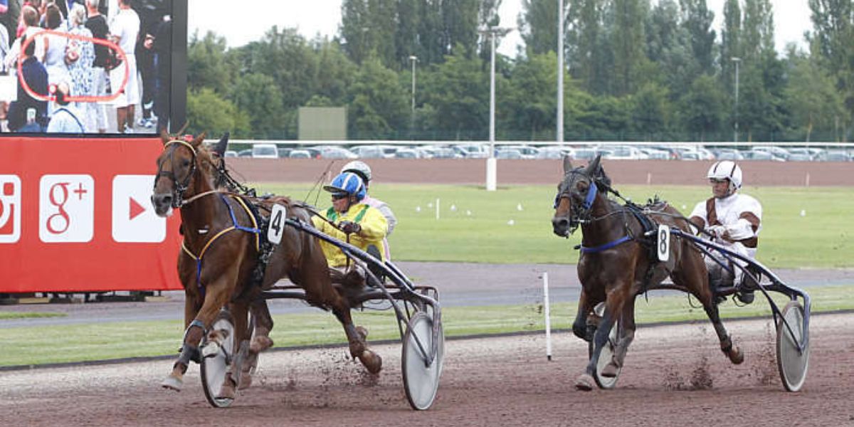 Quinté du lundi 9 mars 2026 à Caen: les pronostics