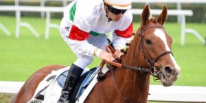 Quinté du mardi 10 mars 2026 à Saint-Cloud: les pronostics