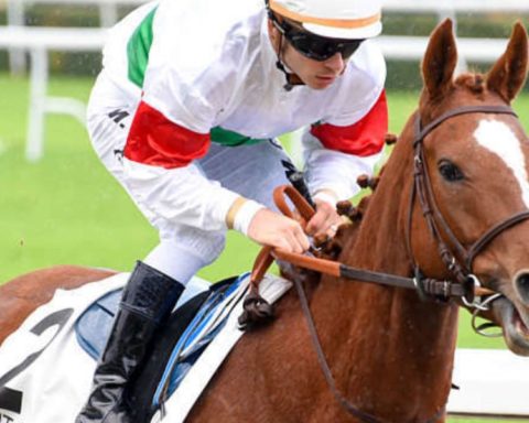 Quinté du mardi 10 mars 2026 à Saint-Cloud: les pronostics