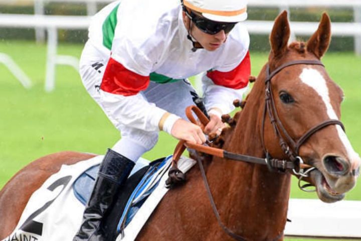 Quinté du mardi 10 mars 2026 à Saint-Cloud: les pronostics