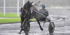 Quinté du mercredi 11 mars 2026 à Laval: les pronostics