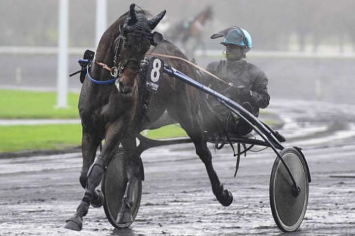 Quinté du mercredi 11 mars 2026 à Laval: les pronostics