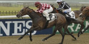 Quinté du jeudi 12 mars 2026 à Chantilly: les pronostics