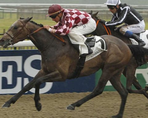 Quinté du jeudi 12 mars 2026 à Chantilly: les pronostics