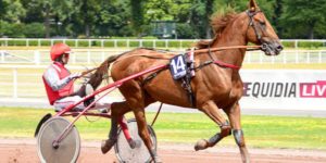 Quinté du vendredi 13 mars 2026 à Enghien: les pronostics