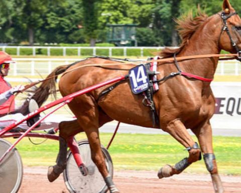Quinté du vendredi 13 mars 2026 à Enghien: les pronostics