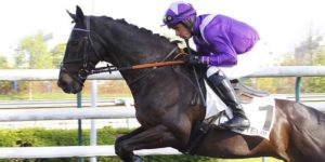 Quinté du samedi 14 mars 2026 à Auteuil: les pronostics