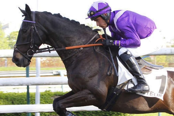 Quinté du samedi 14 mars 2026 à Auteuil: les pronostics