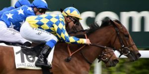 Quinté du dimanche 15 mars 2026 à Saint-Cloud: les pronostics