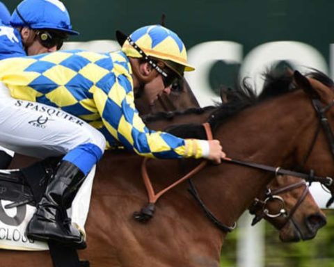 Quinté du dimanche 15 mars 2026 à Saint-Cloud: les pronostics