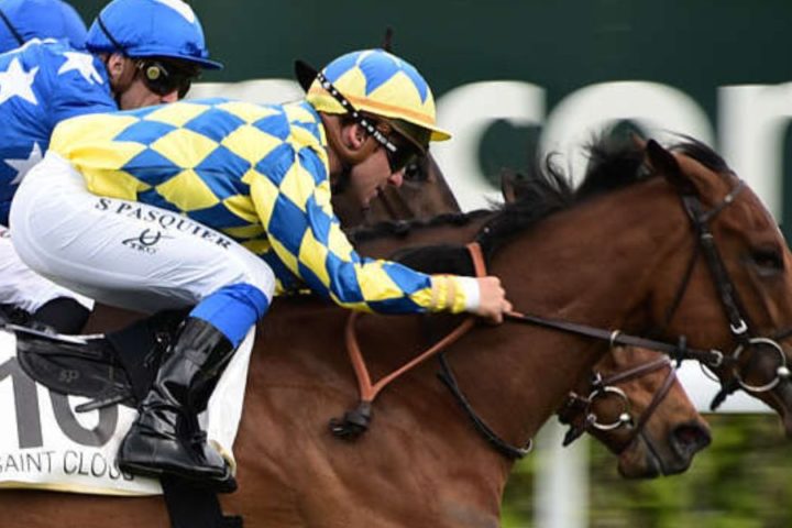 Quinté du dimanche 15 mars 2026 à Saint-Cloud: les pronostics