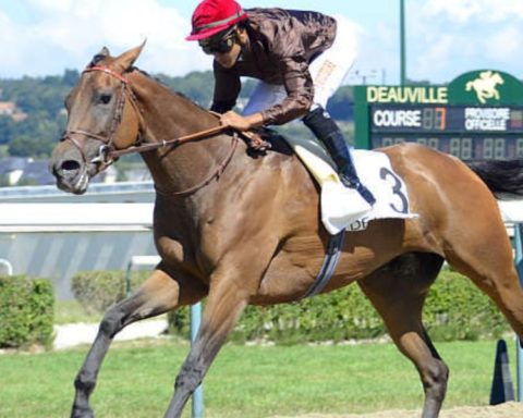 Quinté du lundi 16 mars 2026 à Chantilly: les pronostics