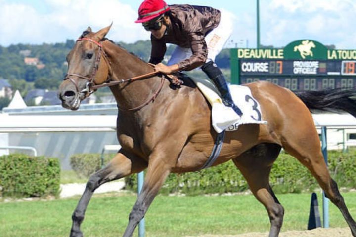 Quinté du lundi 16 mars 2026 à Chantilly: les pronostics