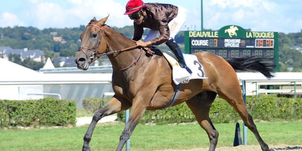 Quinté du lundi 16 mars 2026 à Chantilly: les pronostics