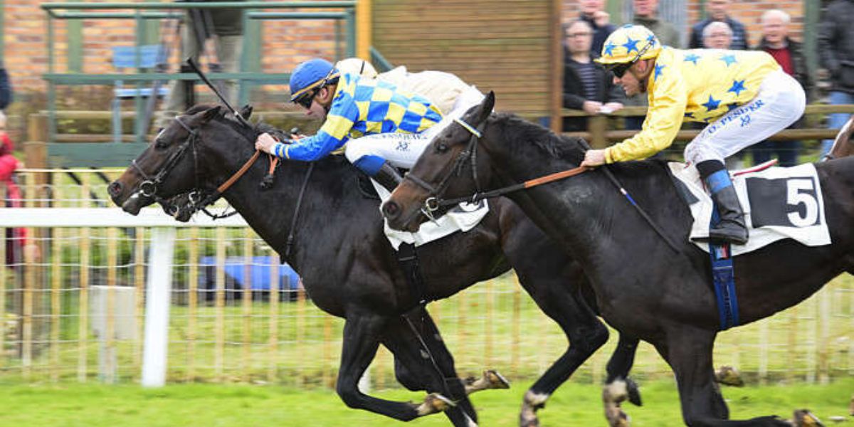 Quinté du mardi 17 mars 2026 à Fontainebleau: les pronostics