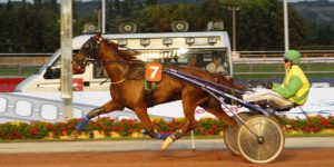 Quinté du mercredi 18 mars 2026 à Vire: les pronostics