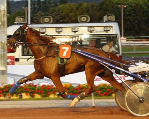 Quinté du mercredi 18 mars 2026 à Vire: les pronostics